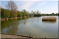 Mill Barn coarse fishery, Great Wakering