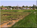 St Osyth creek