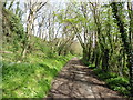 Track in the Caen Valley