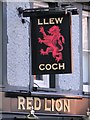 Llew Coch Porthmadog