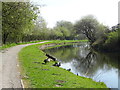 Bend in the Leeds and Liverpool Canal, Rishton