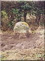 Old Milestone by the A163, Water End, Foggathorpe