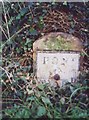 Old Milestone by the A645, Weeland Road, Beal