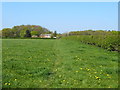 Footpath from Hermitage Thornes to Twemlow Lane