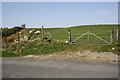 Field gate and footpath stile on west side of Longtons Lane