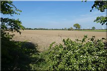 SE6825 : Farmland beside the A645 by DS Pugh
