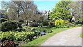 Path in the botanical gardens