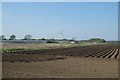 Glasshouses near Barmby