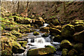 SK2579 : Burbage Brook in Padley Gorge, Derbyshire by Andrew Tryon