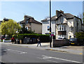 Houses, Selhurst Road, A213