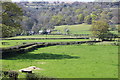 Pasture near Greenmeadow Farm