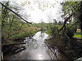 Looking South east along River Wissey from bridge