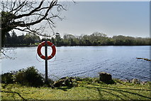 H1755 : Lifebelt, Rossigh, Lough Erne by Kenneth  Allen