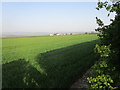 Cereal field near East Wold Farm