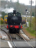 SX7863 : South Devon Railway - the train now approaching by Chris Allen