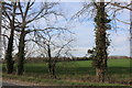 Field by Wantage Road, East Hendred