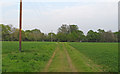 Footpath through Arable Land to St Anne