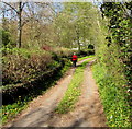 Path towards Old Road, Bwlch, Powys