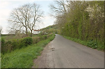 ST4228 : Lane from Wearne by Derek Harper