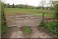 Field by Combe Lane