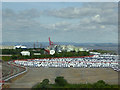 Avonmouth, Portbury Docks