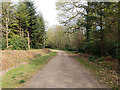 Bridleway from Pease Pottage