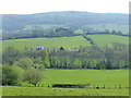 The valley of the Llwynau Brook