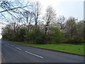 Woodland, Austenwood Common