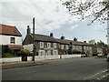 TL8783 : The Albion public house, Thetford by Adrian S Pye