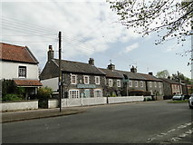 TL8783 : The Albion public house, Thetford by Adrian S Pye
