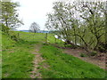 Gate and fence next to the Usk