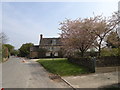 Spring Blossom at Southrop