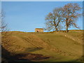 Mill Lane, Askrigg