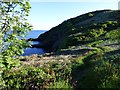 Coast path, Veryan