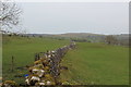 Pastures beside Moor Lane, Threshfield