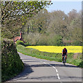 SO7999 : Brilliant cycling terrain near Patshull in Shropshire by Roger  D Kidd