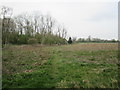 Footpath  through  rough  grazing  toward  Syke  House  Farm