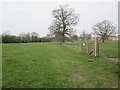 Bridleway  over  fields  toward  Helmsley