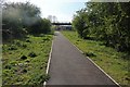 Path on Turnford Marsh