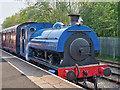 SD5029 : "Linda" at Ribble Steam Railway by David Dixon