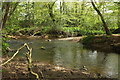 SX7973 : River Lemon in Goodstone Woods by Derek Harper