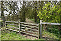 Path leading to Beeford Road near Low Upton