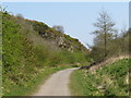 Cycle path near Sunderland