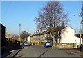 Houses on Taylor Hill Road