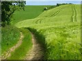 Farmland, St Ewe