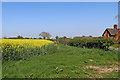 Shropshire Farmland north of Burnhill Green 