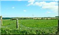 11kV power lines crossing the Old Road