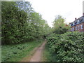 Path into Birchwood Nature Park