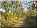 Former railway path near Sunderland