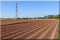 Pylon and potato field near Boningale, Shropshire